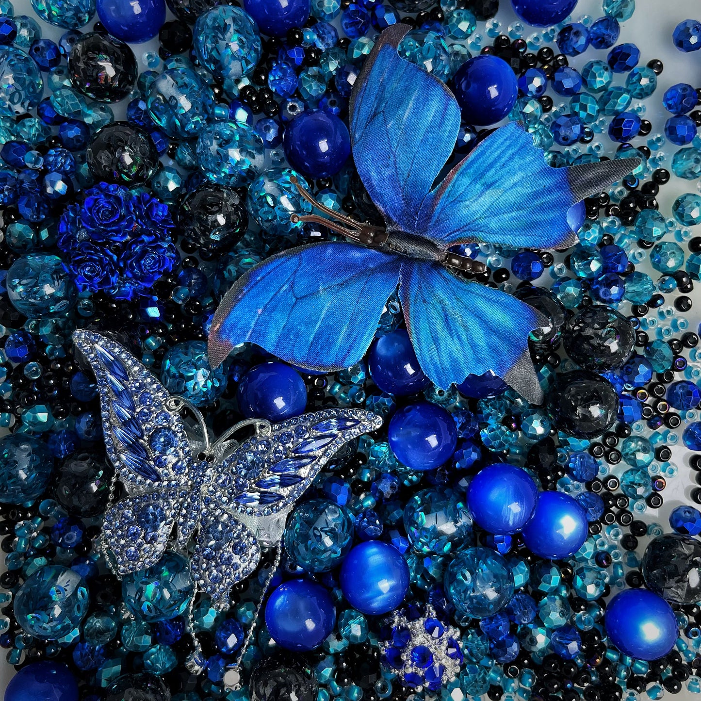 Morpho Sapphire
